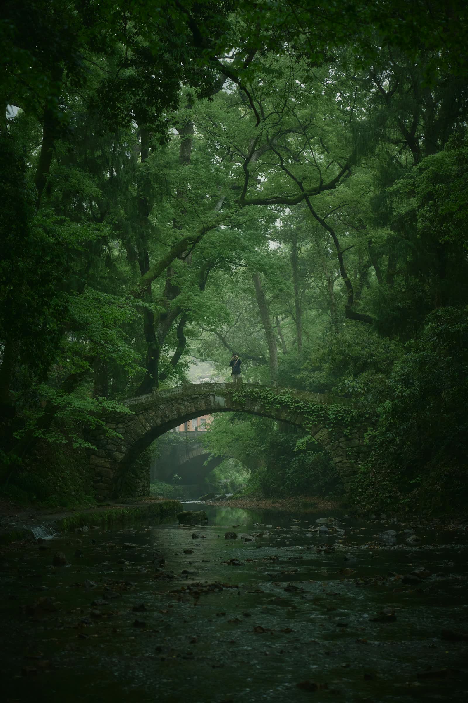 An old stone bridge arching over a stream in a misty green forest