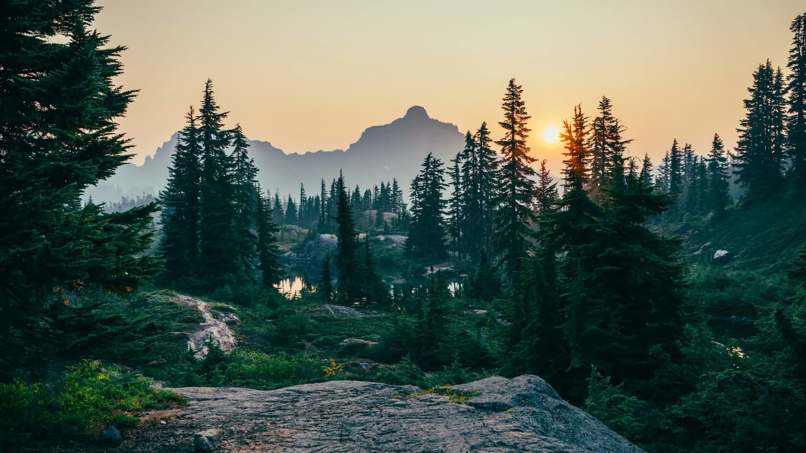 Mist settling over a forested mountain range at dawn
