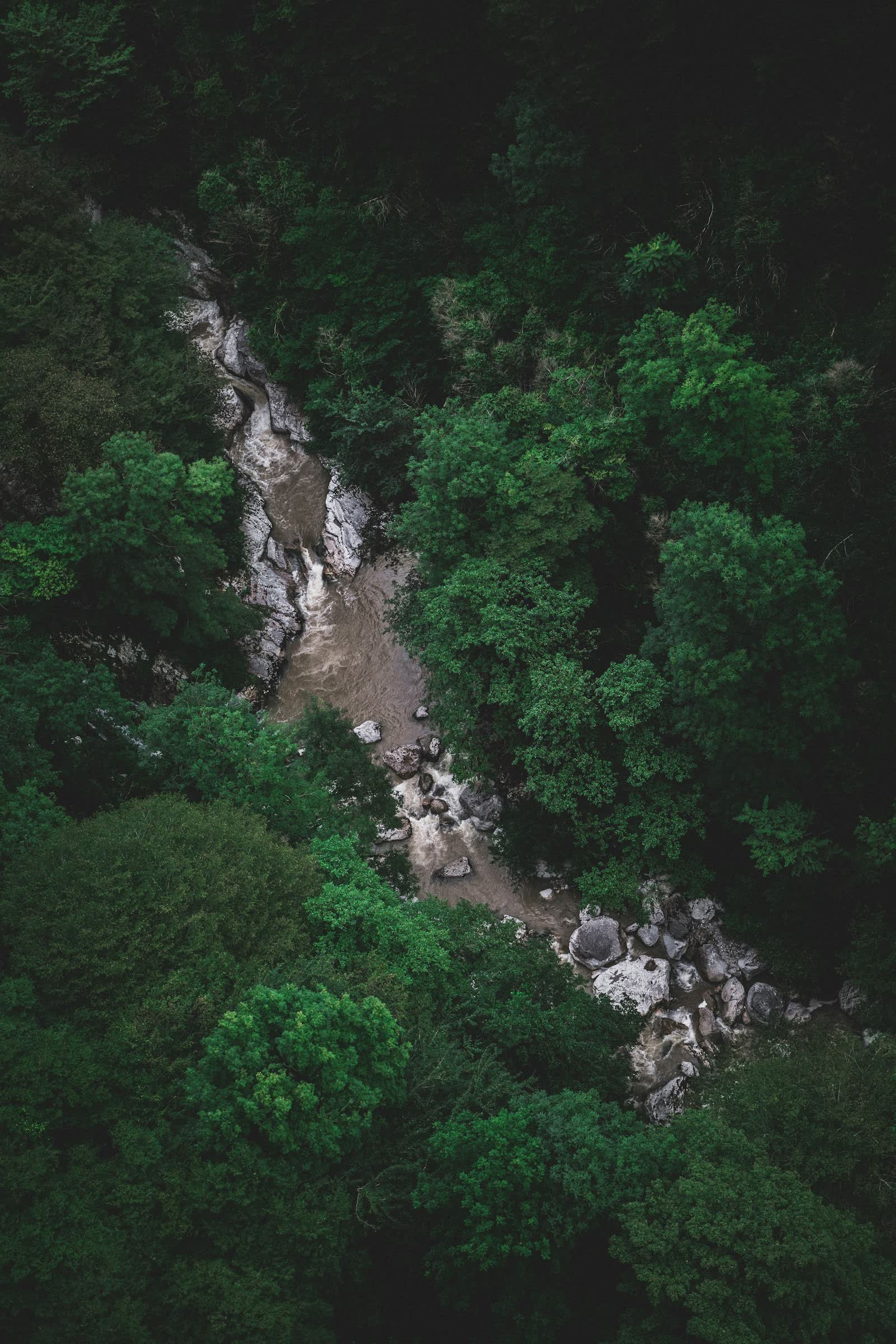A stream winding through dark green forest, seen from above